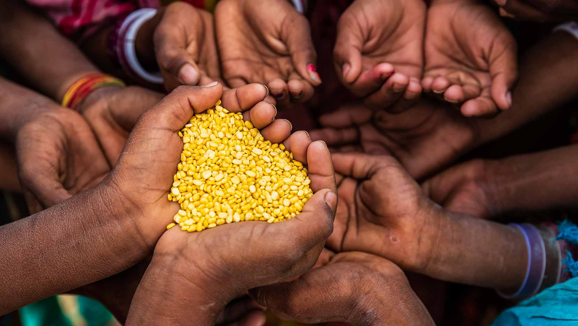 Determinants and Dynamics of Food Insecurity during COVID 19 in Rural Bangladesh